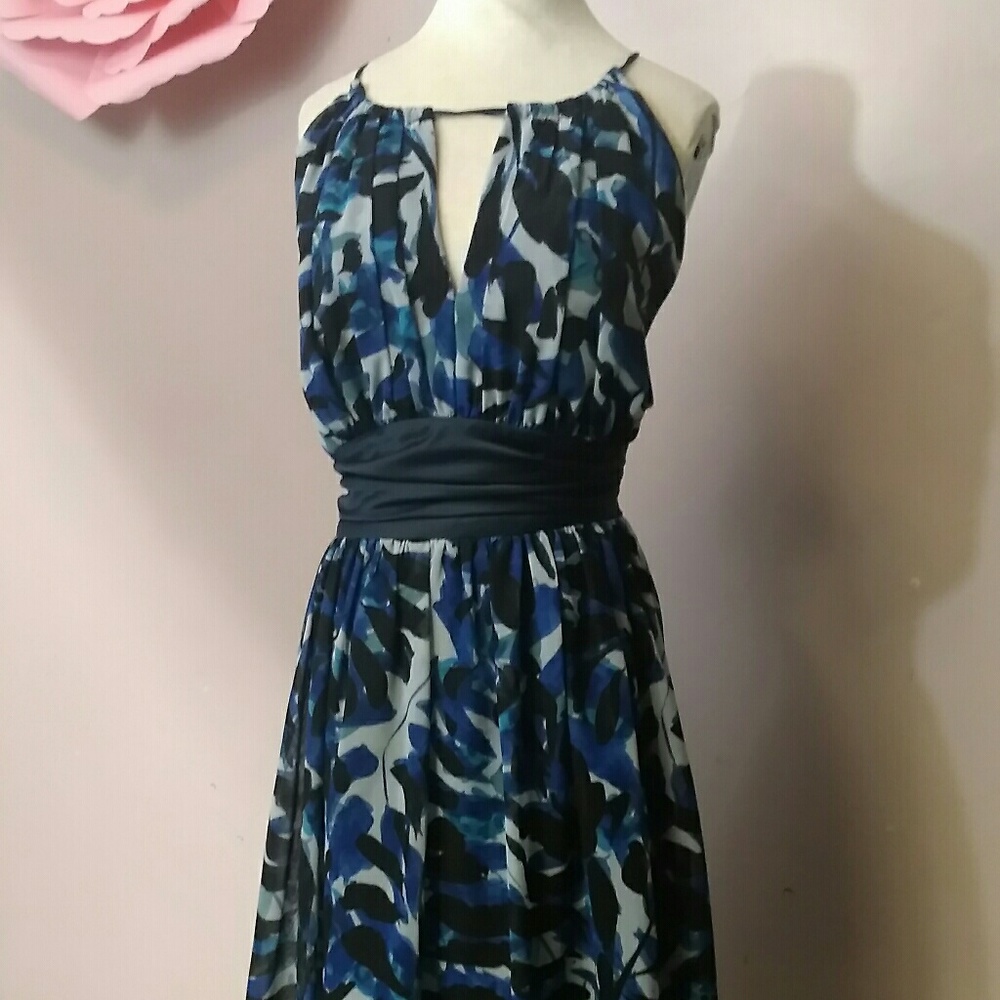 Max and cleo dress